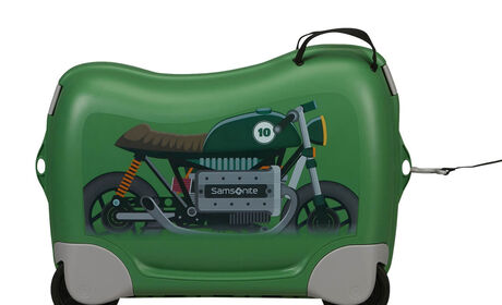 Multifunctional leash