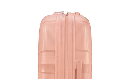 Erweiterungsfähigkeit