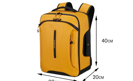 Kostenlos an Bord von Transavia