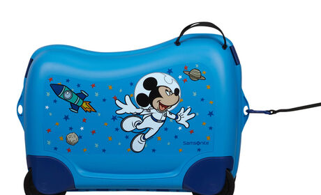 Multifunctional leash