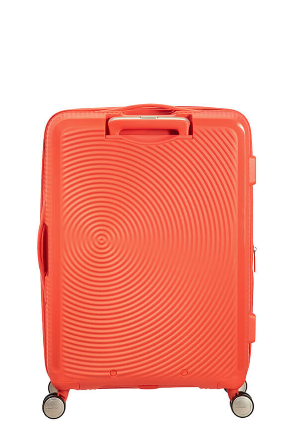 American tourister spicy peach 2025