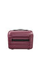 Flashline Beauty Case