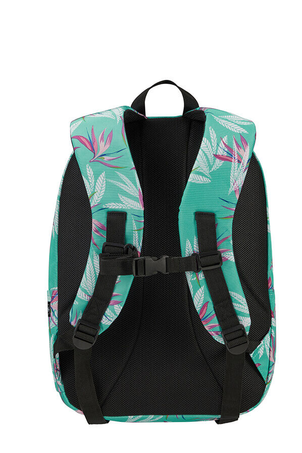 American Tourister Urban Groove Lifestyle Backpack  Bloom American Tourister Urban Groove Lifestyle Backpack  Bloom