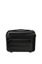 American Tourister Flashline Beauty Case  Shadow Black American Tourister Flashline Beauty Case  Shadow Black