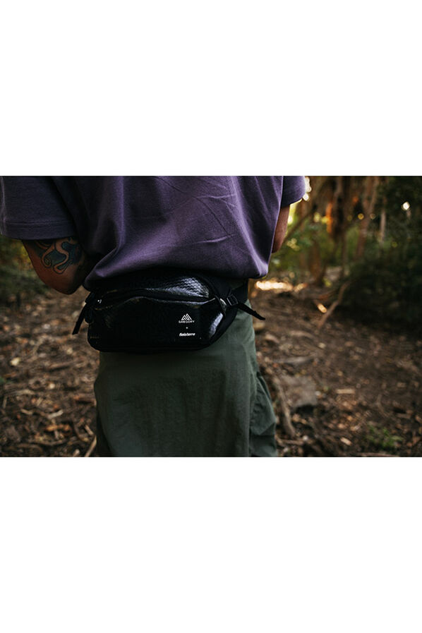 Gregory  NANO WAISTPACK  Onyx Black Gregory  NANO WAISTPACK  Onyx Black