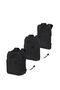 Biz2Go 2 3-in-1-Reiserucksack 17.3"