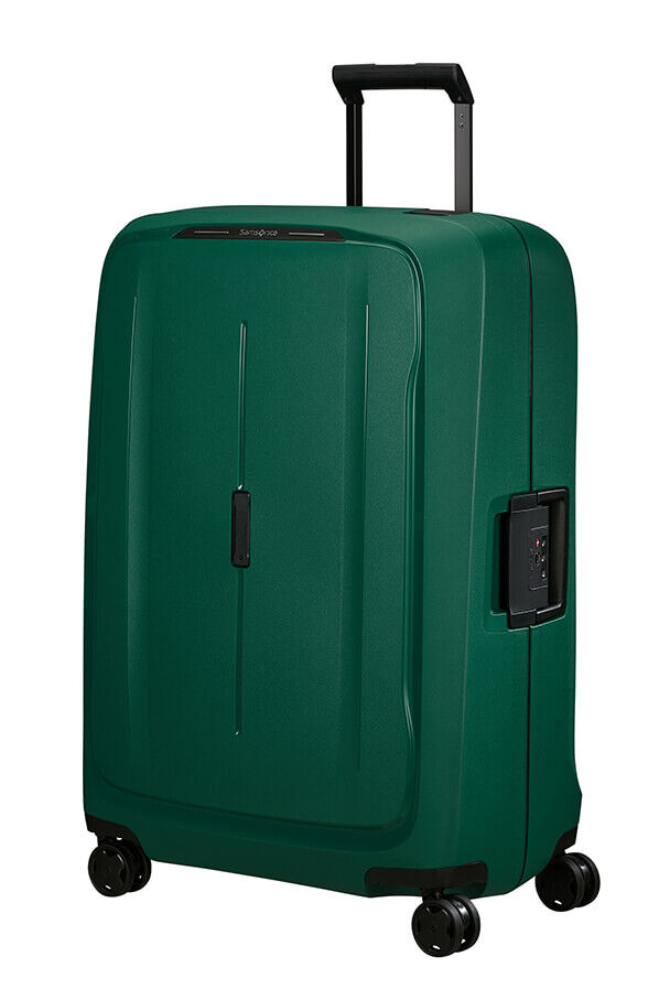 Green suitcase set hot sale