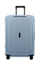 Essens Trolley mit 4 Rollen 75cm