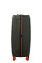 Prodiver Trolley mit 4 Rollen erweiterbar 81cm